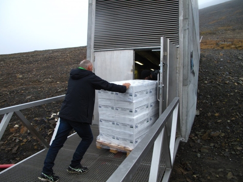 북극 스발바르 글로벌 시드볼트에 백두대간 자생식물 종자 저장