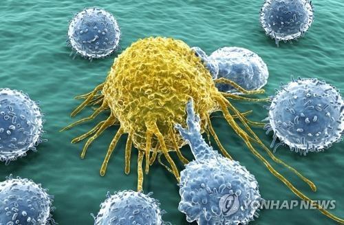 "암 사망원인 2위 직·결장암, 발생 억제 단백질 발견"