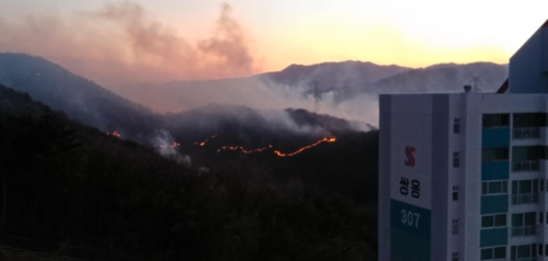 코로나에 산불 덮친 울산 대피령 "집단시설 말고 친척집으로"