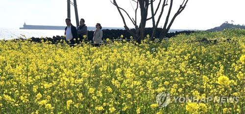 전북 화창한 봄…미세먼지 '보통'