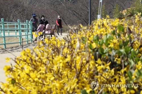 대구·경북 포근한 날씨…오후부터 구름 많아져