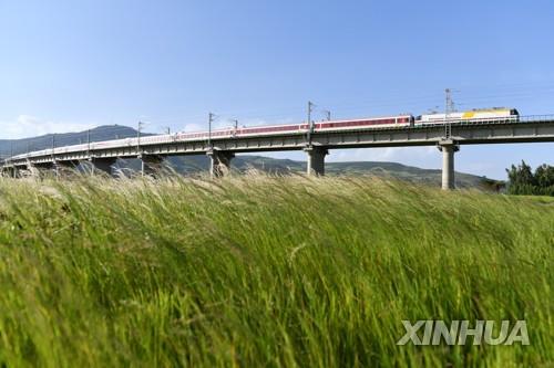 "코로나19로 중국 일대일로도 영향…보건분야 강조 가능성"