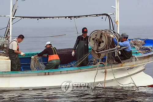 "그물 회수하고 돈 벌고" 속초해경, 24일부터 북상어망 회수작업