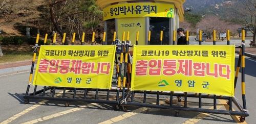 "벚꽃놀이서 개인 거리 2m 유지"…청주시 행정명령 실효성 논란