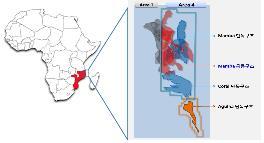 모잠비크 LNG 국제사업지 인근 피습…한국가스공사 영향권(종합)