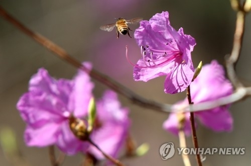 녹색 공간과 연결돼 있는 건강과 행복의 길