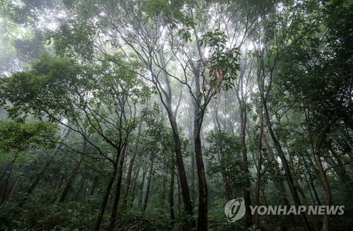 녹색 공간과 연결돼 있는 건강과 행복의 길