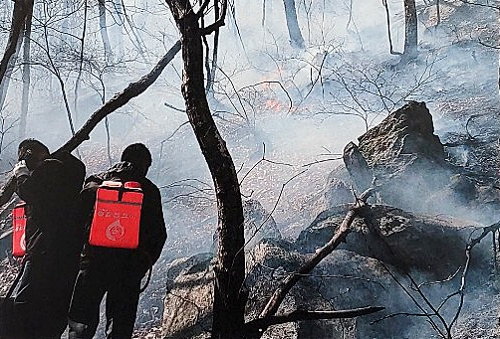 건조특보 속 양양서 산불…헬기 4대 투입 30여분 만에 진화(종합)