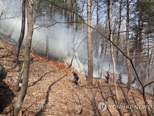 제천시 "산불 실화자 엄중 처벌…논·밭두렁 소각 단속"