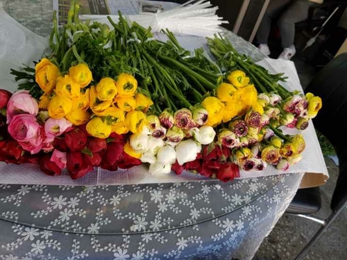 "화훼농가 돕자"…꽃집으로 변신한 법무사 사무소