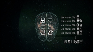 뇌로 호모 사피엔스 비밀 밝힌다…EBS '뇌로 보는 인간'