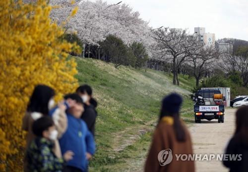 "꽃은 만발했는데"…3월 마지막 휴일 전국 유명 관광지 '한산'