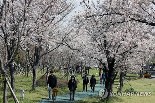 "꽃은 만발했는데"…3월 마지막 휴일 전국 유명 관광지 '한산'