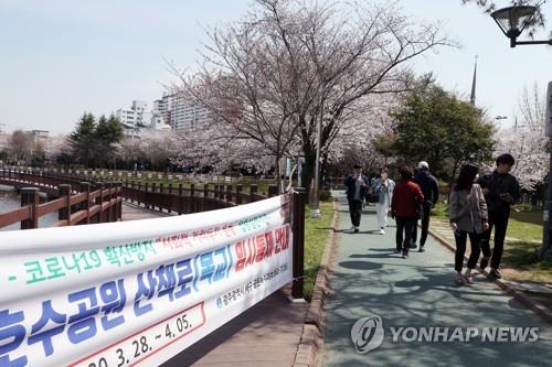 "꽃은 만발했는데"…3월 마지막 휴일 전국 유명 관광지 '한산'