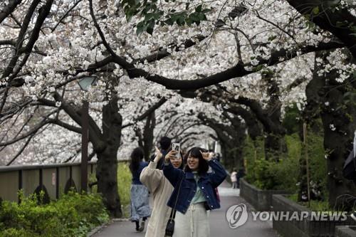 일본, 감염가능성 커야 유전자검사…도쿄 최근 검사자 43％ 확진