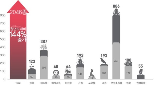 독도 사는 생물 2천46종 확인…신종 20여종 포함