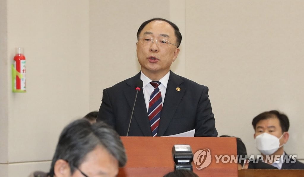 홍남기 "재난기본소득 효율성·재원 고민…신중히 검토해야"