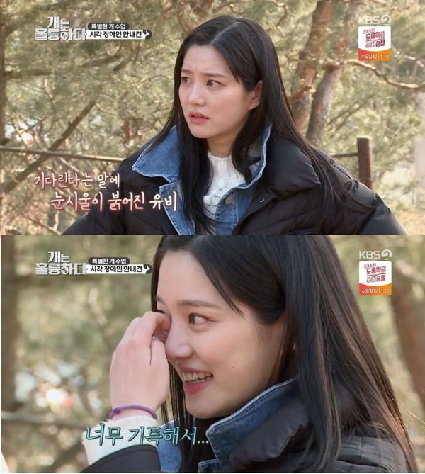 사진=KBS2 '개는 훌륭하다' 방송 화면.