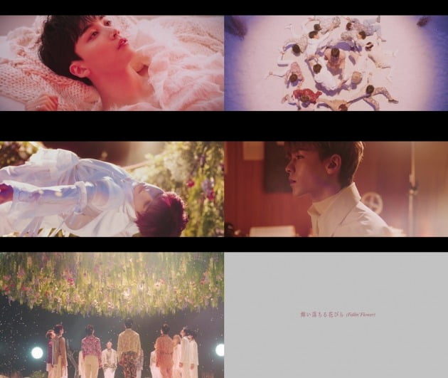 세븐틴 ‘마이오치루하나비라 (Fallin’ Flower)’ 티저 / 사진제공= 플레디스엔터테인먼트