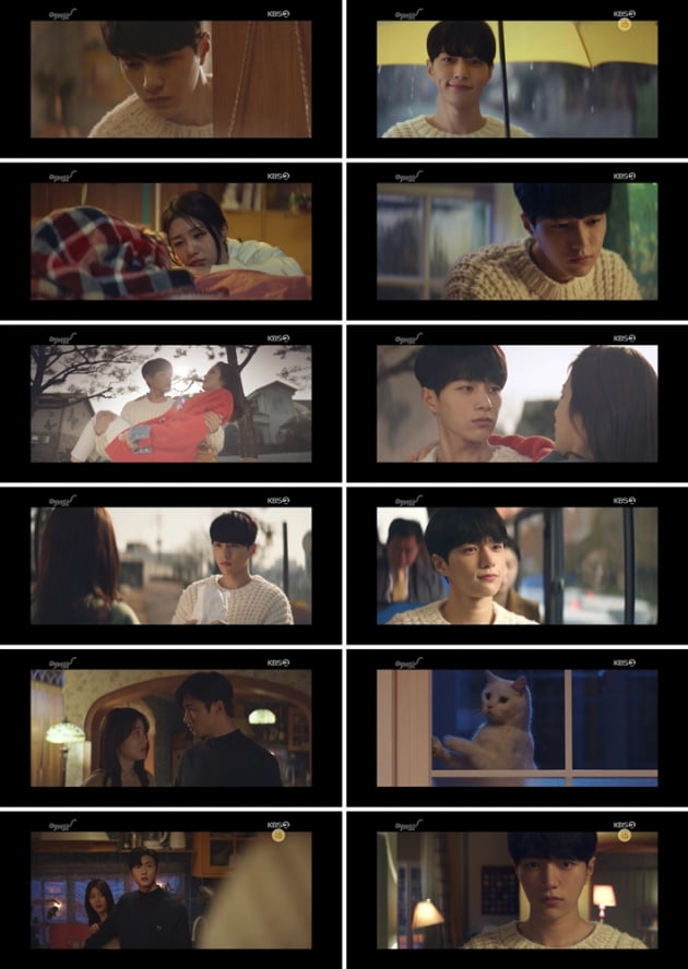 지난 26일 방송된 '어서와'/ 사진=KBS2 방송 화면