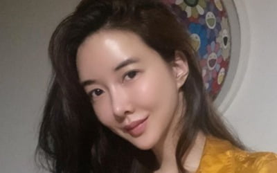 장미인애 "더는 대한민국에서 배우 활동 않겠다" 은퇴 선언 (전문)