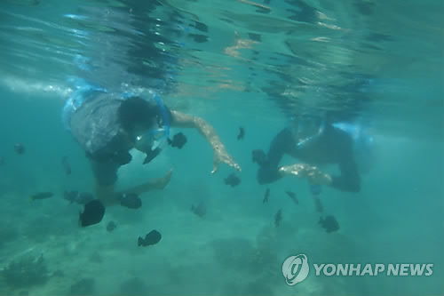 야간 수중레저 활동 안전강화…안전요원 동행·발광장비 착용