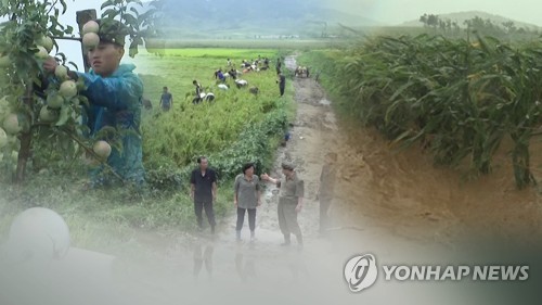 북한, 토지개혁 74돌에 "식량만 넉넉하면 시간표대로 경제발전"