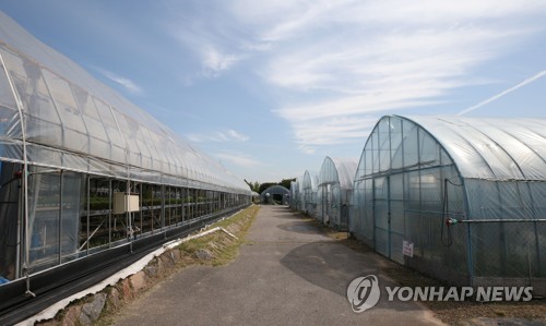 부산 국화 재배 비닐하우스서 불…100만원 재산피해