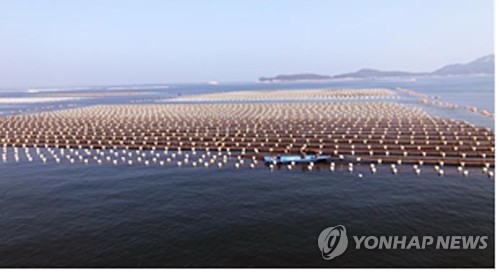 돈 안 되는 어류양식…작년 어류생산 5.8%↑·생산금액은 12%↓