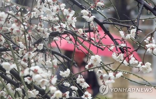 전북 흐리고 30∼80㎜ 비…낮 17∼20도