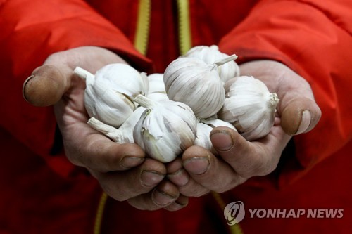 코로나19 쇼크에 지구촌 마늘·생강 가격 급등