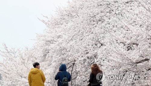 군항제 취소했지만…벚꽃 상춘객 코로나19 확산 방지 대책은?