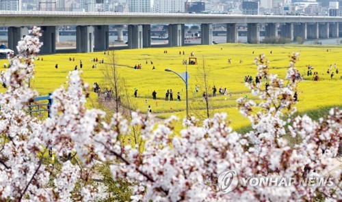 "곧 벚꽃·유채꽃 흐드러질 텐데…" 부산 봄축제 줄줄이 취소