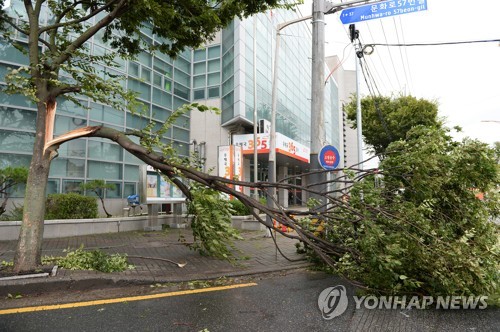 강풍주의보 전국 확대…"오늘 낮부터 밤까지 가장 강해"