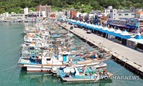 "멸치잡이 어선 규정 어긴 엔진 장착"…통영시 등 실태조사