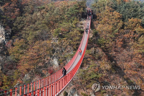 파주시, 감악산·마장호수 출렁다리 임시 폐쇄