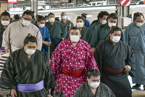 일본 스모, 코로나19에 사상 최초 무관중 경기