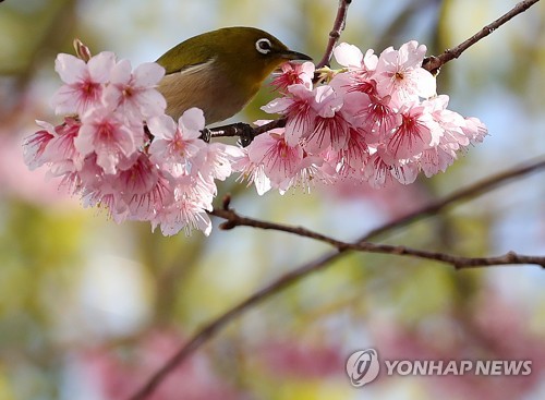 부산 낮 최고기온 13도…내일 오후부터 비