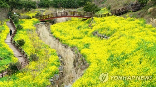 올 2월 제주 방문 관광객 63만명…전년 대비 43% 감소