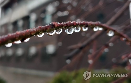 강원 내일까지 최대 30㎜ 봄비…낮 최고 22도 포근
