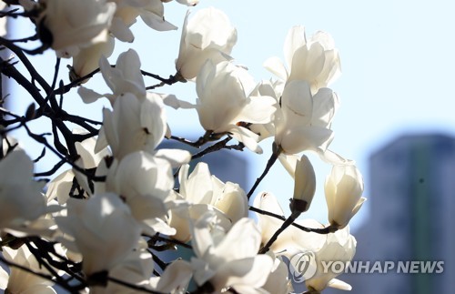 전국 맑고 일교차 커…낮 최고 17도로 포근