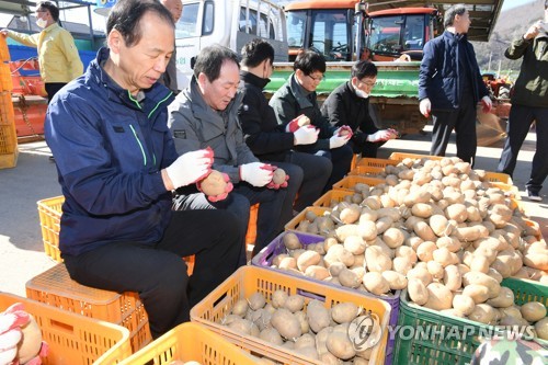 뜨거운 강원감자 설전…"시장 왜곡" vs "농민 애로 해결"(종합)