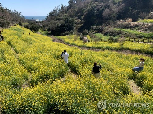 '사회적 거리 두기' 전국서 여전…봄철 기분전환 나들이는 늘어