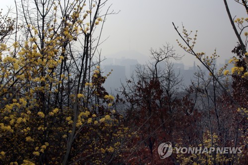 "내일 낮도 포근해요"…수도권·충청 곳곳 미세먼지