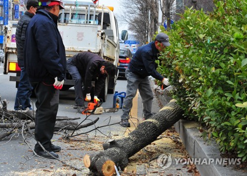 강풍에 신천지 대전 성전 첨탑 떨어져…충남도 피해 속출(종합2보)