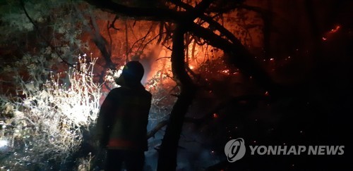 강풍 특보에 전국 곳곳에서 산불…산림 당국 '초비상'