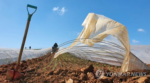 강풍에 신천지 대전 성전 첨탑 떨어져…충남도 피해 속출(종합2보)