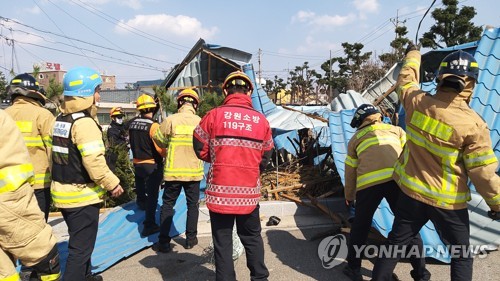 시속 100㎞ 태풍급 강풍에 '휘청'…강원 곳곳 피해 속출(종합)