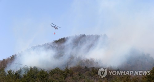강풍 특보에 전국 곳곳에서 산불…산림 당국 '초비상'