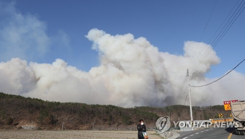 태풍급 강풍에 전국 곳곳에서 산불…산림 당국 '초비상'